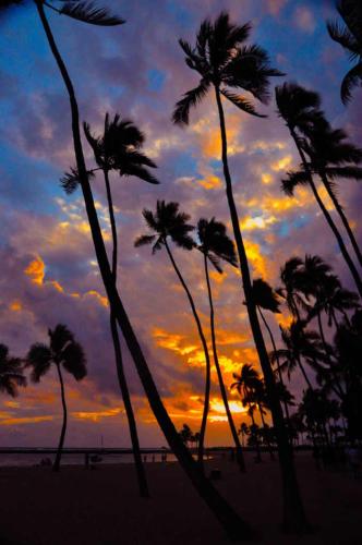 Ilikai Tower 1843 Yacht Harbor View 2BR - image 43