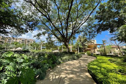 Tamarindo Diria