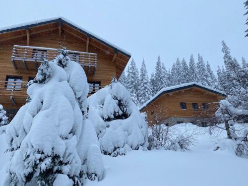 Apartmany Petr Horni Misecky - Spindleruv Mlyn in Vítkovice