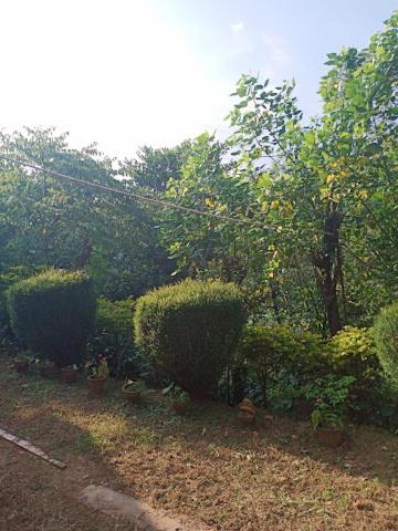 Eshwar cottage