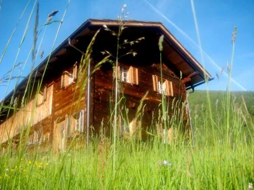 Almhütte Gorgasser in Heiligenblut am Großglockner, Österreich