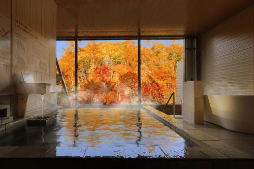 Hot spring bath, Hotel Ryu Resort and Spa in Shokawa