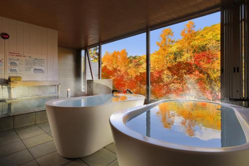 Hot spring bath, Hotel Ryu Resort and Spa in Shokawa