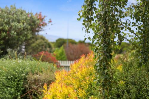 Apollo Bay Beach Hut ~ Wifi ~ Opposite The Ocean