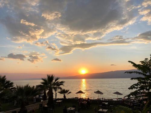 Skats, AFYTOS ÖREN PARK MTK (AFYTOS OREN PARK MTK) in Burhaniye