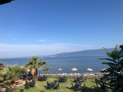 Skats, AFYTOS ÖREN PARK MTK (AFYTOS OREN PARK MTK) in Burhaniye