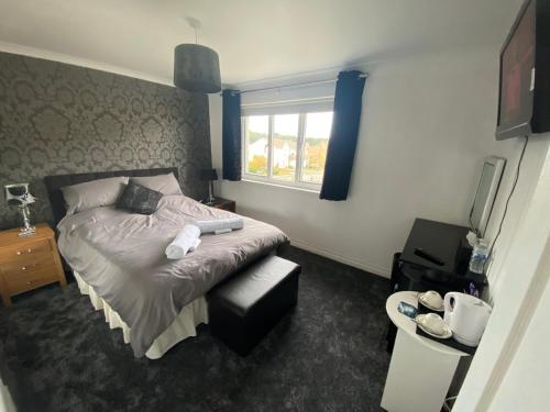 Dreamhaven – Dunbar