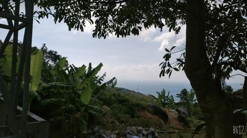 Khu nghi duong Ngoc Phuong hon son
