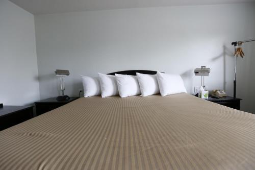 Plaza Motel - image 2