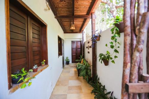 บริการและสิ่งอำนวยความสะดวก, Mandala Hostel Jeri in เจริโคโคร่า