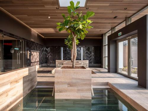 Boshuisje La Casita - Near Wellness & Golf in Oosterhout