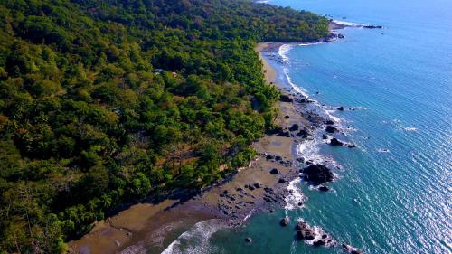 pavones point