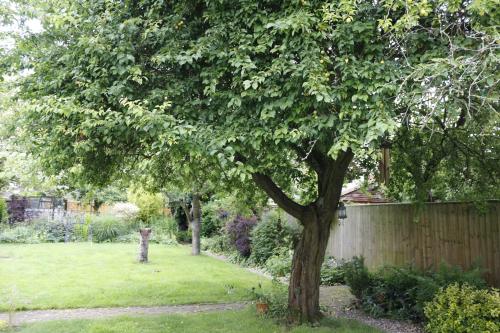 Hollybush Guest House - image 12