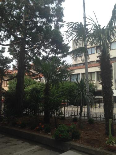 Villa Ana - image 2