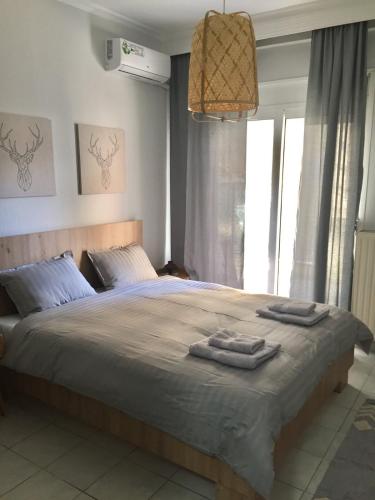 Nikoletta's Home 2 in Komotini