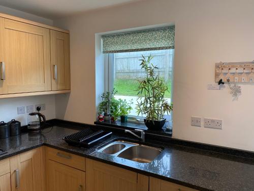 OHANA HOUSE - Unbeatable Location - UK's Best Beaches in Newquay Waterfront