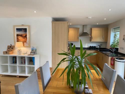 OHANA HOUSE - Unbeatable Location - UK's Best Beaches in Newquay Waterfront