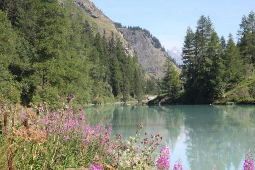 สภาพแวดล้อมโดยรอบ, Chalet Pomme de Pin in เลเบรวิแยร์