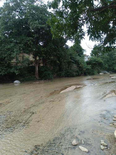Hotel Bambú Tayrona
