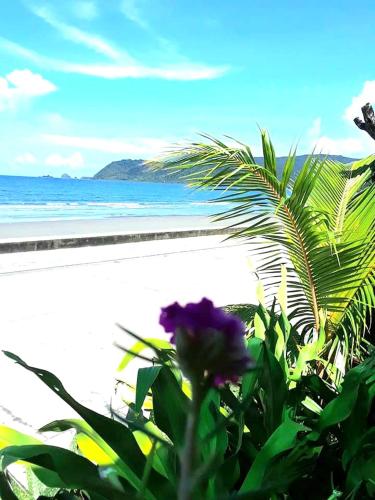 Vista Aurora Vista Aurora