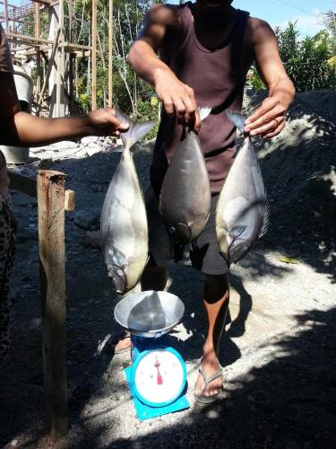 Vista Aurora Vista Aurora