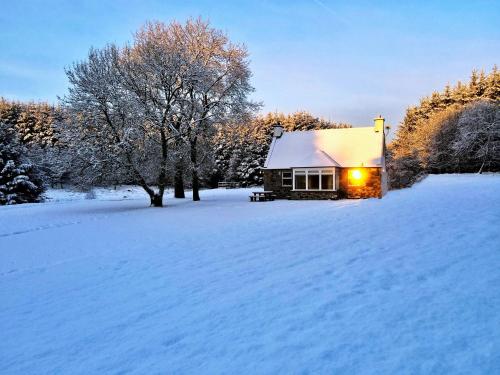 Glen View - image 7