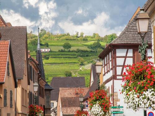Surrounding environment, Ideal sejour Alsace ! proche Colmar et sur la route des Vins, Gite de la Liberte in Rouffach