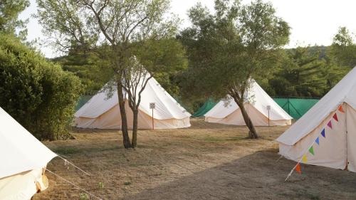 Into the wild glamping