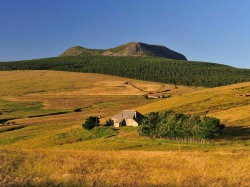 Gîte Le Mas-de-Tence, 3 pièces, 6 personnes - FR-1-582-132