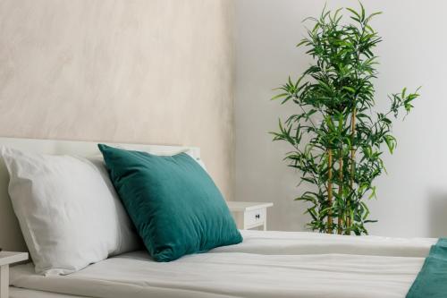 Brasov Holiday Apartments - image 14