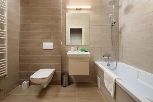 Brasov Holiday Apartments - image 8