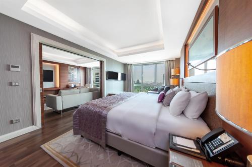 Dedeman Bostanci Istanbul Hotel & Convention Center, Istanbul (fotografie 6)