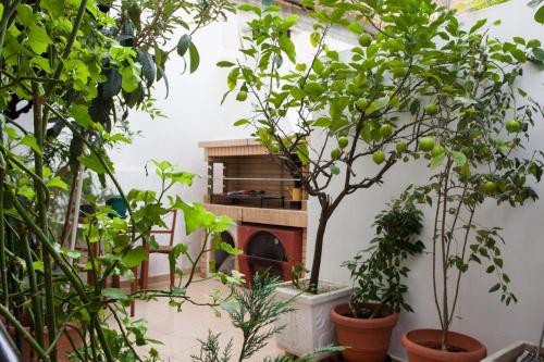 Psyri Neoclassical House Yard Free Parking, Athens (photo 4)