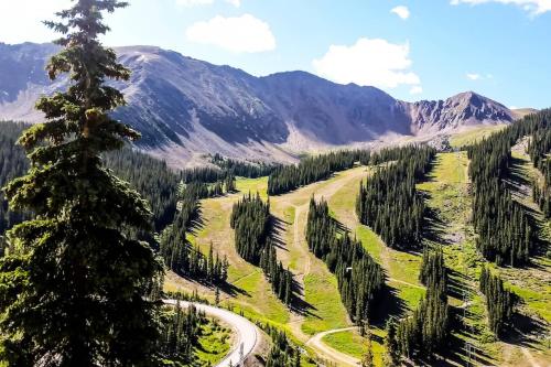 Prospector Village #204 - Wildernest/Silverthorne - image 11