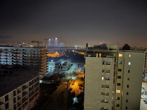 Stunning 2-Room Penthouse with Lakeview W11