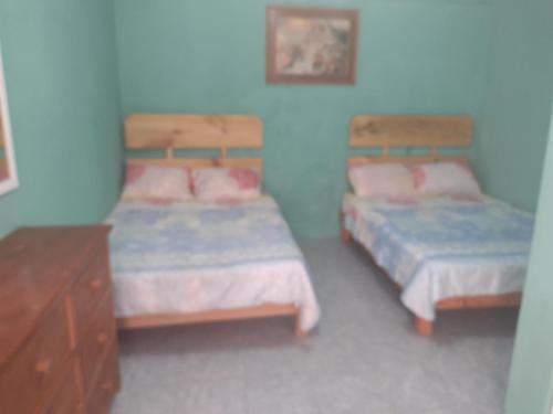 오악사카 Hostal Eclipse Oaxaca 1성급 호텔 전망