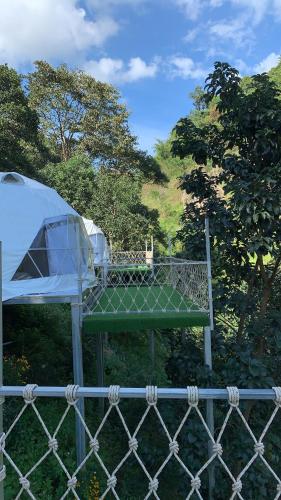 Twins camping