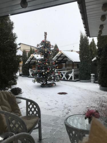 Bonus in Vinnitsa