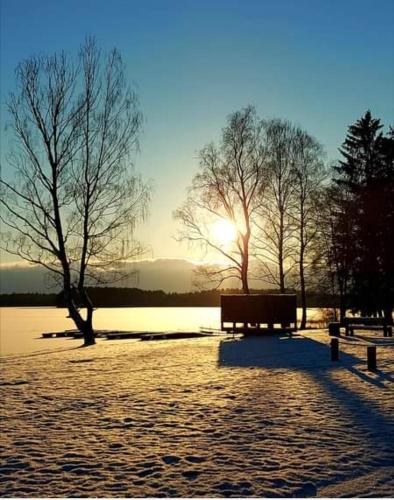 Lake apartment in Visaginas