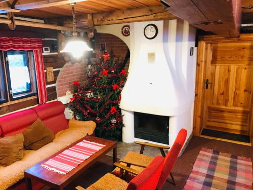 Koplietošanas atpūtas telpa ar TV, Originalna Drevenica Jezersko 43 in Jezersko
