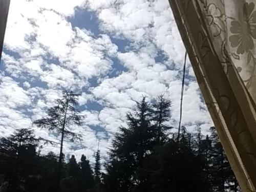 SHINING STAR HOME STAY JIBHI