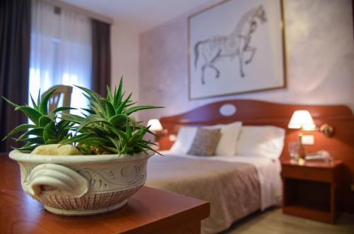 Hotel Crystal - image 12
