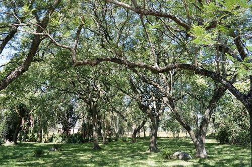 Estancia Timbauva