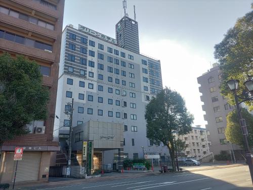 Kenchomae Green Hotel - Kumamoto