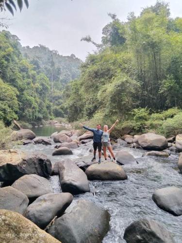 Khao Sok River & Jungle Resort