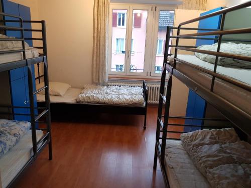 Single Bed in 5-Bed Dormitory Room