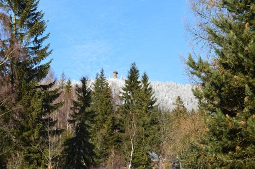 Domek Izery, Szklarska Poręba (foto 8)