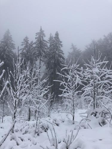 Bergstadthütte Harz