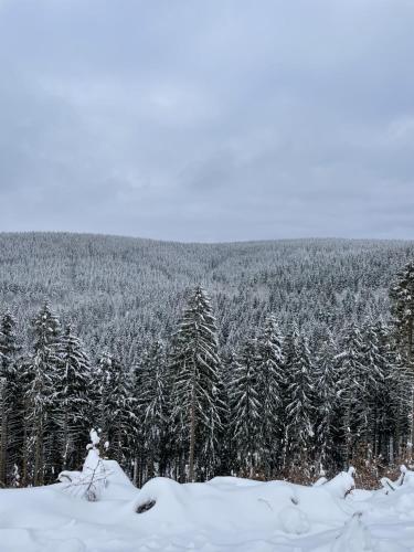 Bergstadthütte Harz