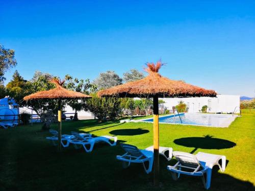 Vejer Life&Nature 2